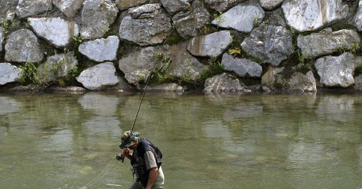 Carp fishing in weedy waters