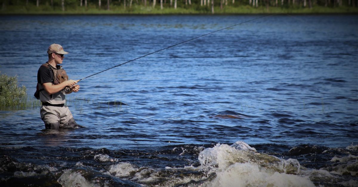 Fishing for Carp in the Margins